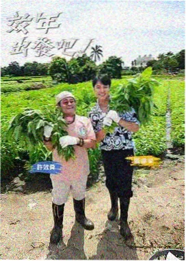 花房观测台上的温湿度记录仪与手写台账特写